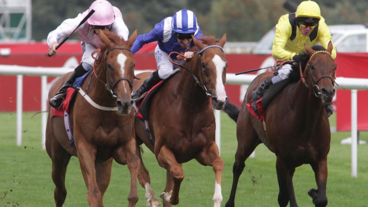 Normandie Stud silks John Gosden 
